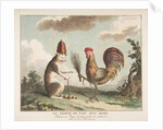Le Traité de Paix avec Rome, ca. 1789 by Unknown