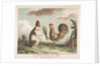 Le Traité de Paix avec Rome, ca. 1789 by Unknown