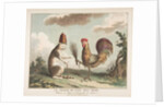 Le Traité de Paix avec Rome, ca. 1789 by Unknown