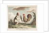 Le Traité de Paix avec Rome, ca. 1789 by Unknown