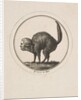 Caricature Showing the Comte de Provence as a Cat, 18th century by Unknown