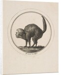 Caricature Showing the Comte de Provence as a Cat, 18th century by Unknown