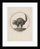 Caricature Showing the Comte de Provence as a Cat, 18th century by Unknown