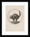 Caricature Showing the Comte de Provence as a Cat, 18th century by Unknown