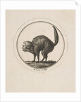 Caricature Showing the Comte de Provence as a Cat, 18th century by Unknown