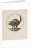Caricature Showing the Comte de Provence as a Cat, 18th century by Unknown