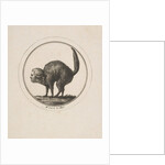 Caricature Showing the Comte de Provence as a Cat, 18th century by Unknown