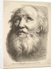 Frontispiece: Head of a Bearded Man, from 'Livre de Têtes Gravées d'apres F. Bouch…, 18th century by Unknown