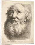 Frontispiece: Head of a Bearded Man, from 'Livre de Têtes Gravées d'apres F. Bouch…, 18th century by Unknown