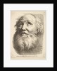 Frontispiece: Head of a Bearded Man, from 'Livre de Têtes Gravées d'apres F. Bouch…, 18th century by Unknown
