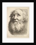 Frontispiece: Head of a Bearded Man, from 'Livre de Têtes Gravées d'apres F. Bouch…, 18th century by Unknown