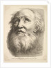 Frontispiece: Head of a Bearded Man, from 'Livre de Têtes Gravées d'apres F. Bouch…, 18th century by Unknown