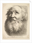 Frontispiece: Head of a Bearded Man, from 'Livre de Têtes Gravées d'apres F. Bouch…, 18th century by Unknown