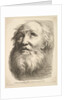 Frontispiece: Head of a Bearded Man, from 'Livre de Têtes Gravées d'apres F. Bouch…, 18th century by Unknown