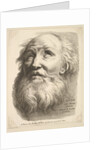 Frontispiece: Head of a Bearded Man, from 'Livre de Têtes Gravées d'apres F. Bouch…, 18th century by Unknown