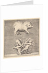 A Belted Pig and Two Cupids with a Butterfly, published ca. 1599-1622 by Unknown