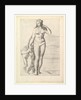 Speculum Romanae Magnificentiae: Venus and Eros, 1561 by Unknown