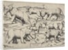 Various Animals by Unknown