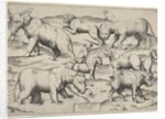 Various Animals by Unknown