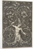 Grotesque with male figure with lower body and head of acanthus scrolls, ca. 1515-1600 by Unknown
