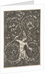 Grotesque with male figure with lower body and head of acanthus scrolls, ca. 1515-1600 by Unknown