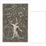 Grotesque with male figure with lower body and head of acanthus scrolls, ca. 1515-1600 by Unknown