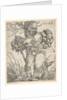 Footsoldier in front of a Tree, mid-17th century by Barthel Beham