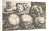 Dead Child with Four Skulls, mid-16th century by Barthel Beham