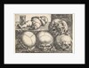 Dead Child with Four Skulls, mid-16th century by Barthel Beham