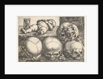 Dead Child with Four Skulls, mid-16th century by Barthel Beham