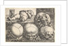 Dead Child with Four Skulls, mid-16th century by Barthel Beham