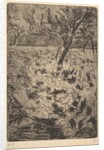 The Cabbage Field, ca. 1880 by Camille Pissarro