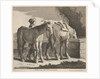 Masete de Normandie by Charles Errard le fils