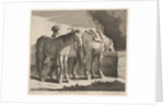Masete de Normandie by Charles Errard le fils