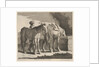 Masete de Normandie by Charles Errard le fils