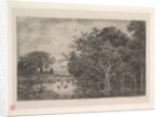 The Marshes, 1851 by Charles Francois Daubigny