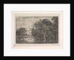 The Marshes, 1851 by Charles Francois Daubigny