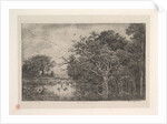 The Marshes, 1851 by Charles Francois Daubigny