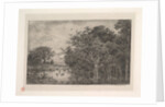 The Marshes, 1851 by Charles Francois Daubigny