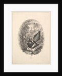 Magpie, 1843 by Charles Francois Daubigny
