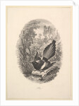 Magpie, 1843 by Charles Francois Daubigny