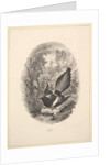 Magpie, 1843 by Charles Francois Daubigny