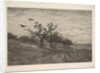 Tree Filled with Crows, 1867 by Charles Francois Daubigny