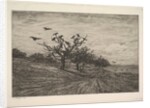 Tree Filled with Crows, 1867 by Charles Francois Daubigny