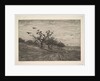 Tree Filled with Crows, 1867 by Charles Francois Daubigny