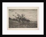 Tree Filled with Crows, 1867 by Charles Francois Daubigny