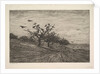 Tree Filled with Crows, 1867 by Charles Francois Daubigny