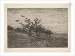 Tree Filled with Crows, 1867 by Charles Francois Daubigny