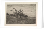 Tree Filled with Crows, 1867 by Charles Francois Daubigny