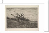 Tree Filled with Crows, 1867 by Charles Francois Daubigny